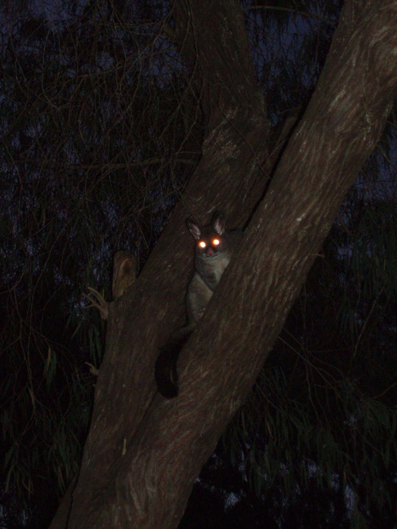 Acercarseembre 14 décembre 2008 | 20h43