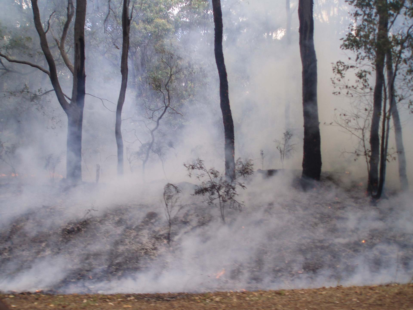 Zoom in 16 décembre 2008 | 16h34