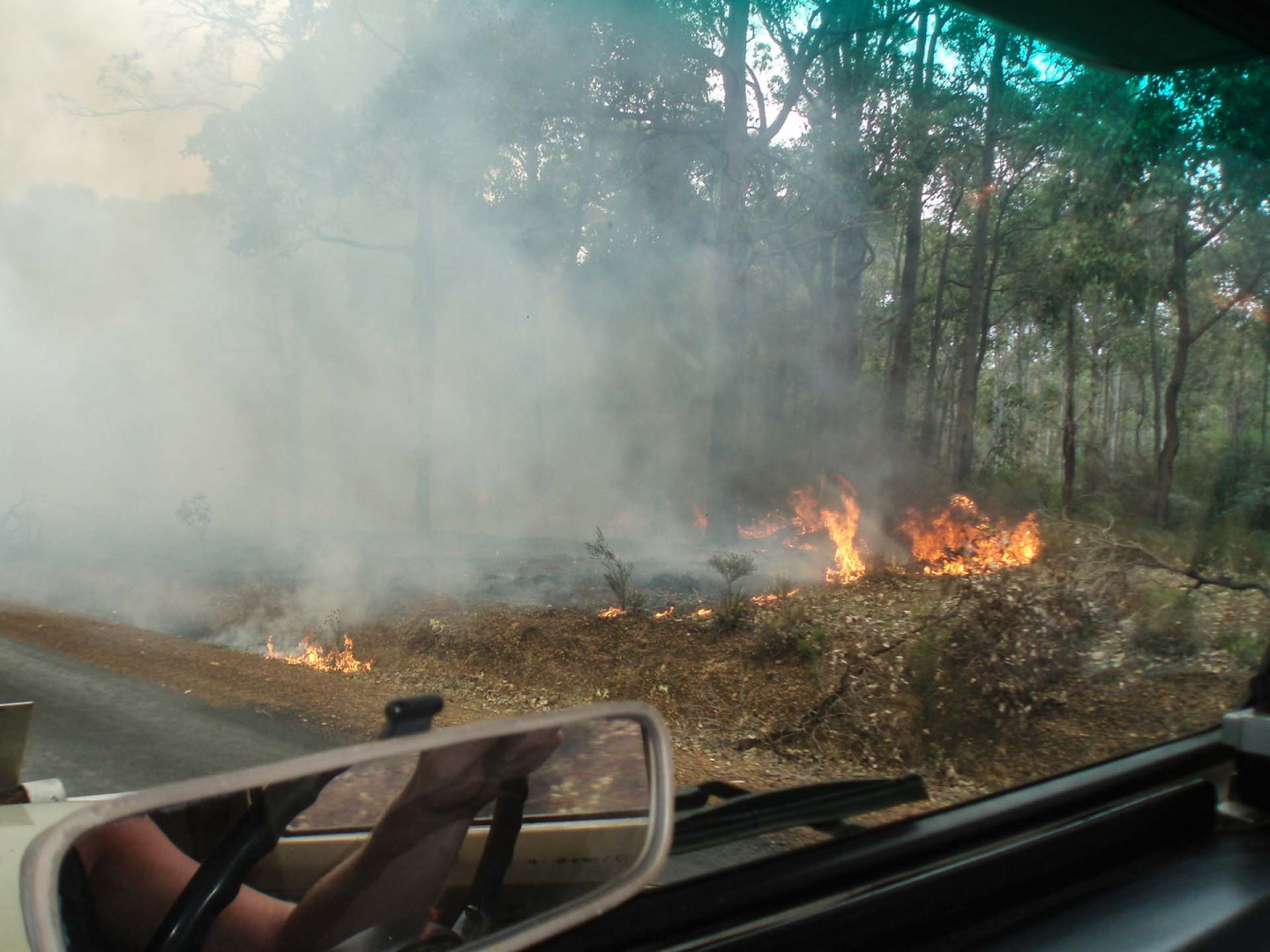 Zoom in 16 décembre 2008 | 16h35