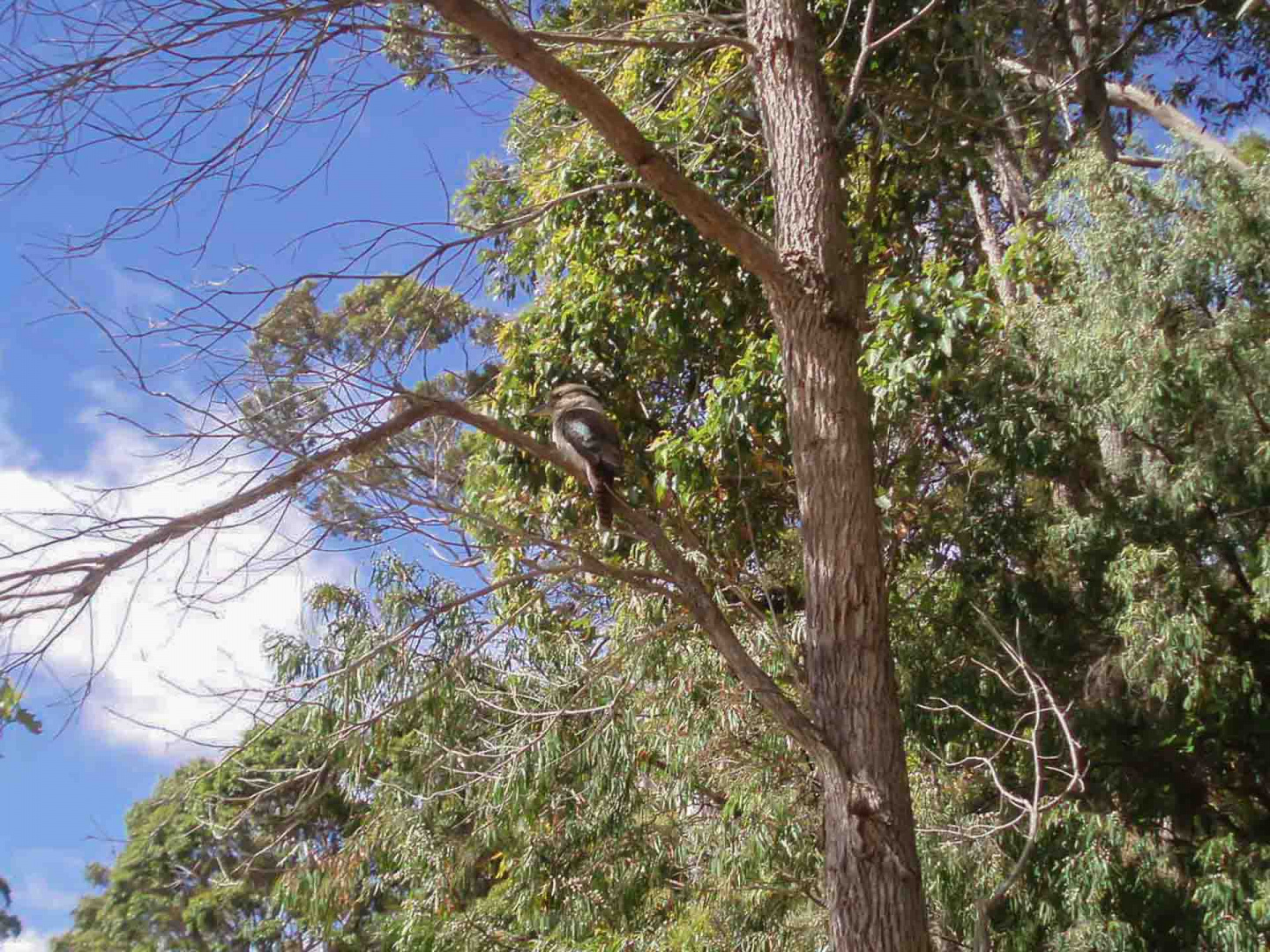 Zoom in 16 décembre 2008 | 16h40