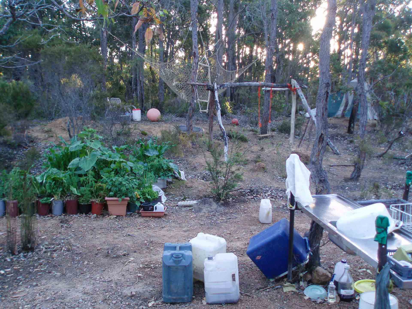 Zoom in 16 décembre 2008 | 19h47