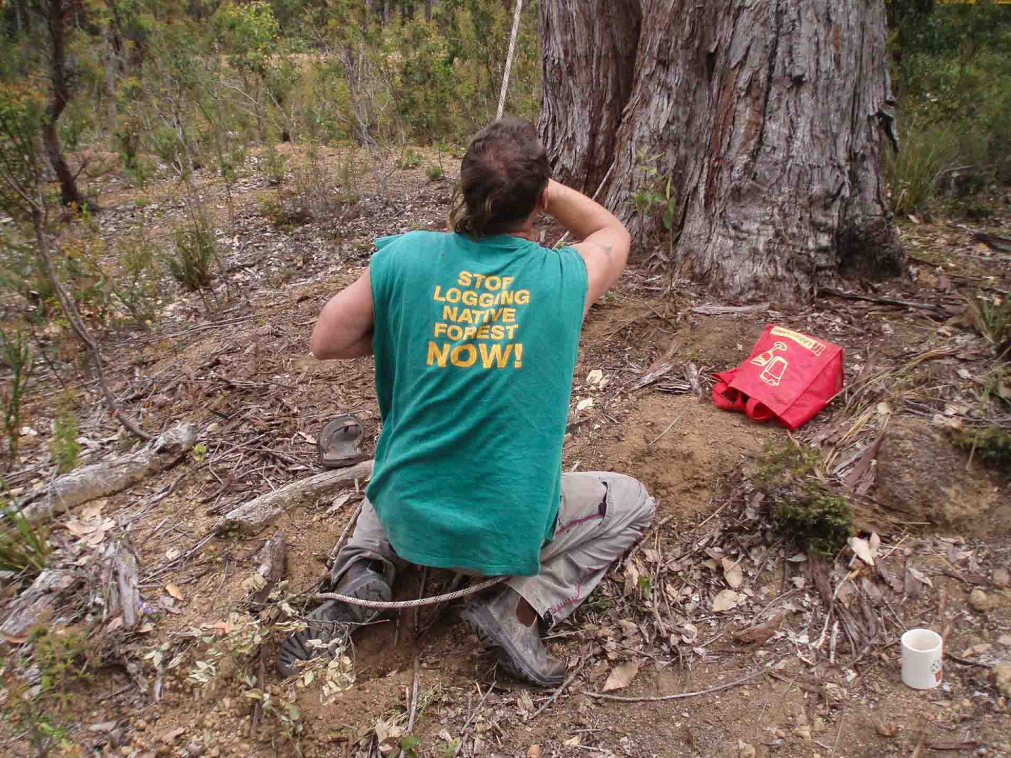 Zoom in 17 décembre 2008 | 11h18