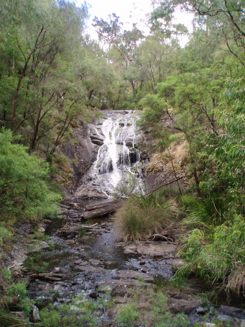 Zoom in 17 décembre 2008 | 16h51