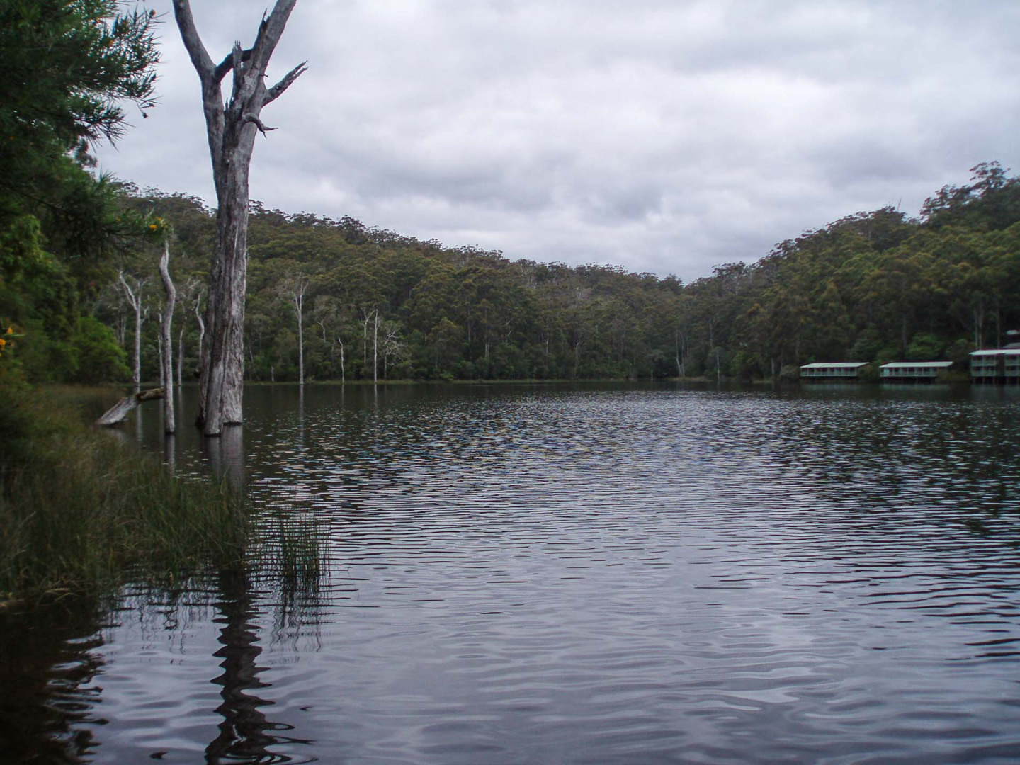 Zoom in 17 décembre 2008 | 17h10