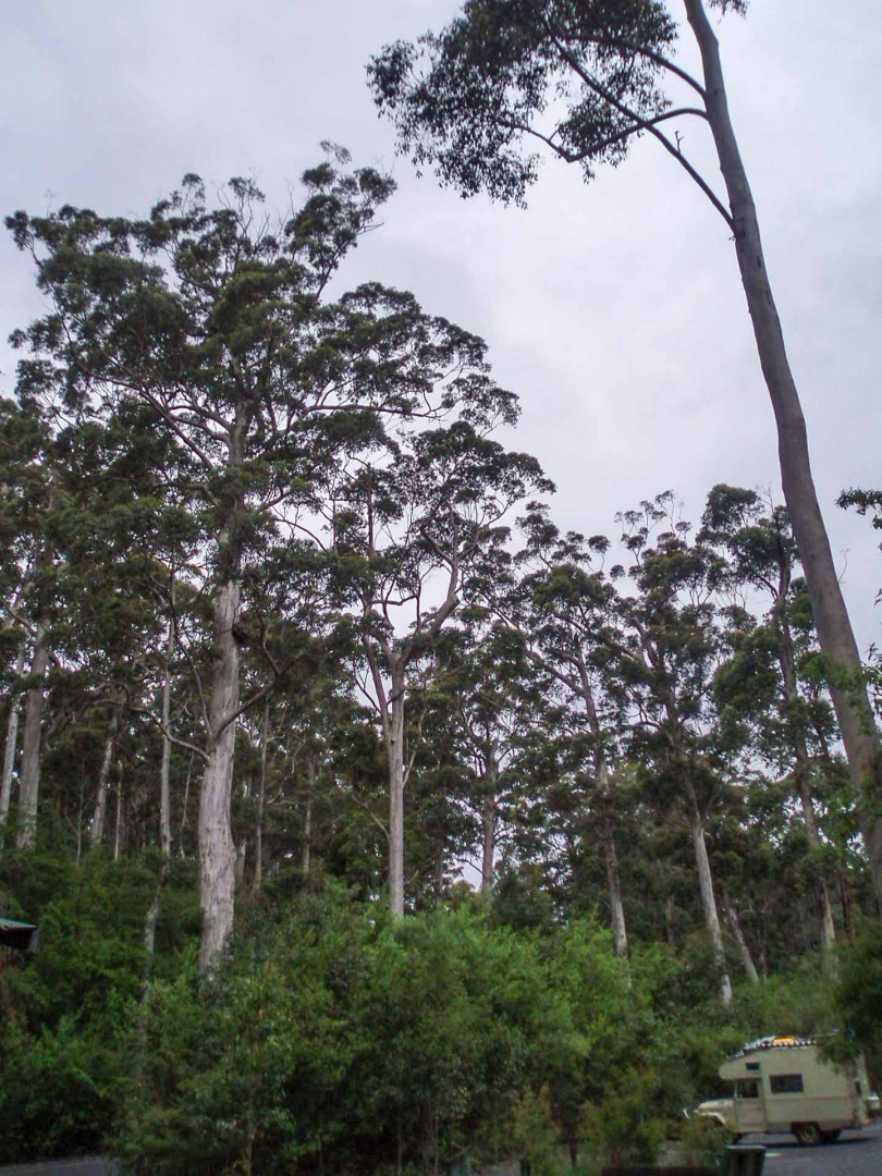 Zoom in 17 décembre 2008 | 17h33