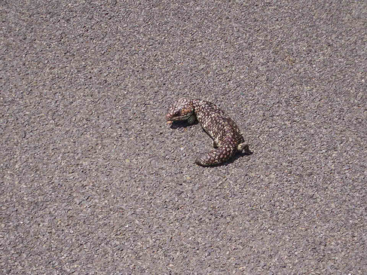 In zoommber 19 décembre 2008 | 11h53