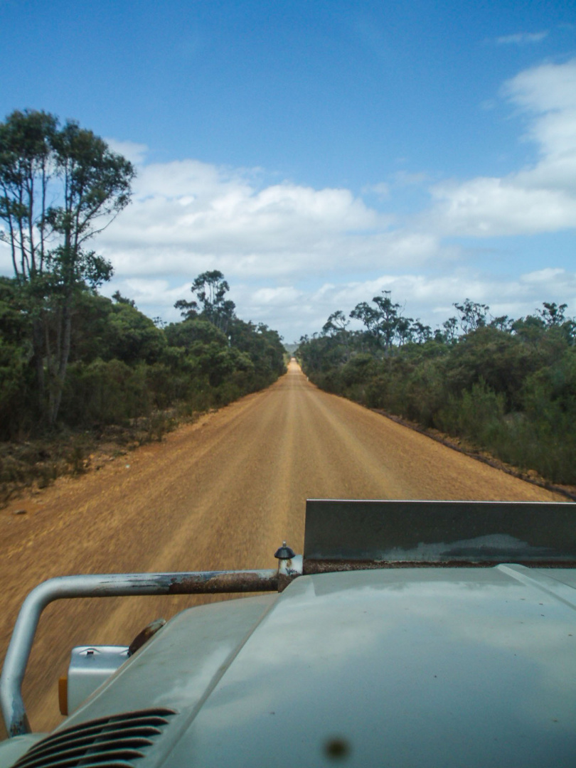 In zoommber 19 décembre 2008 | 15h12