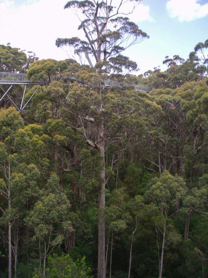In zoommber 20 décembre 2008 | 12h39