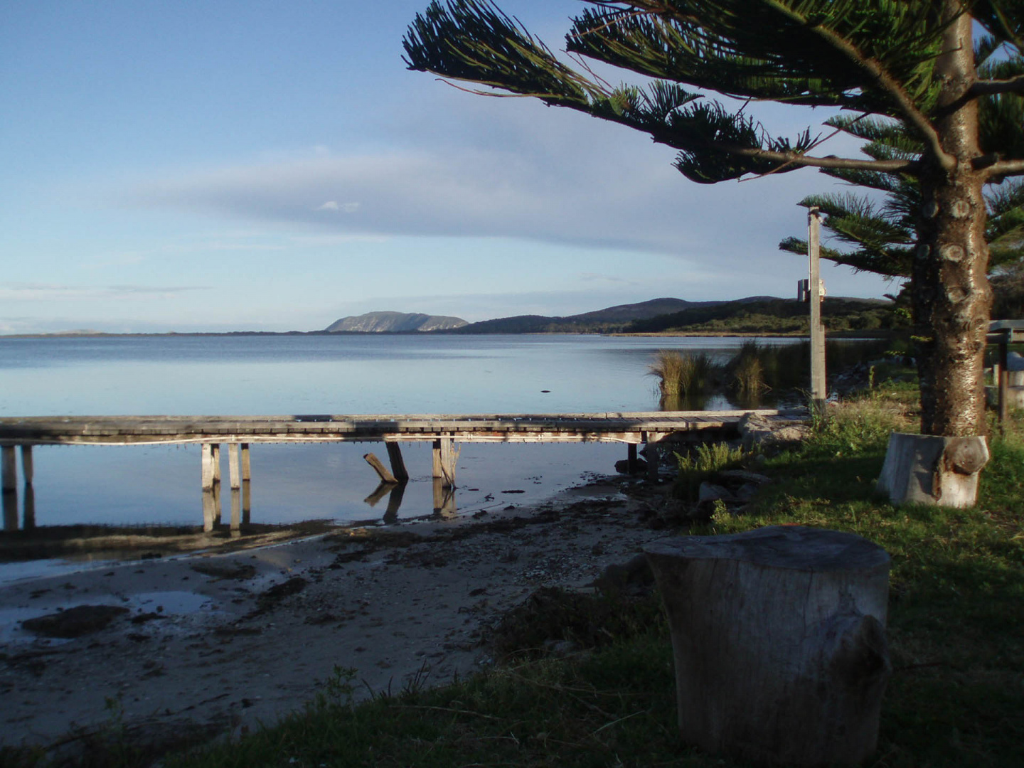 In zoommber 20 décembre 2008 | 19h27