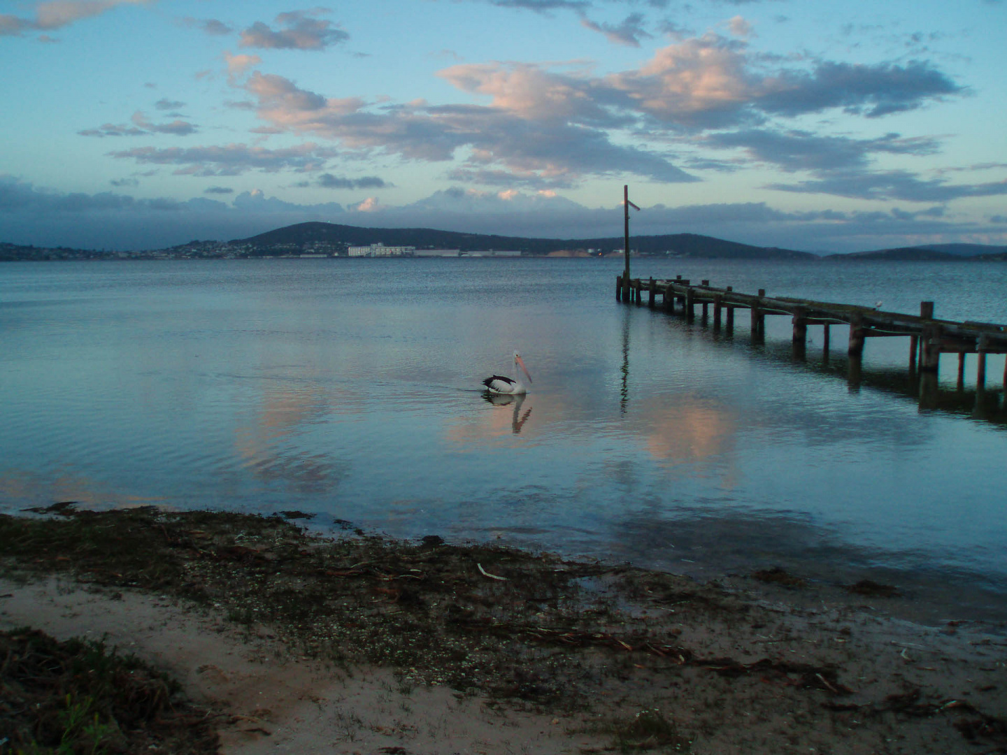 In zoommber 20 décembre 2008 | 20h09