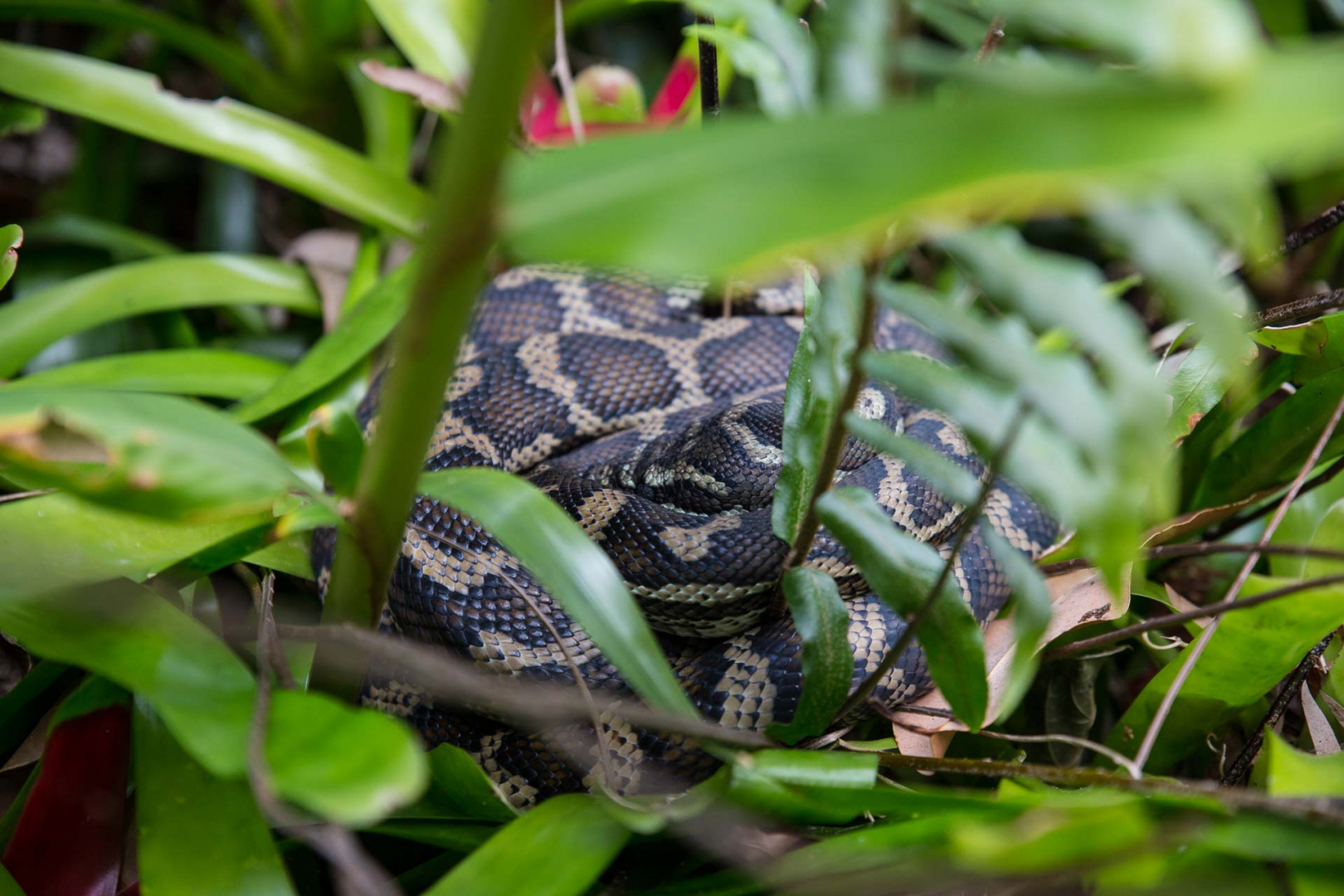 Zoom in 11 juillet 2018 | 15h41