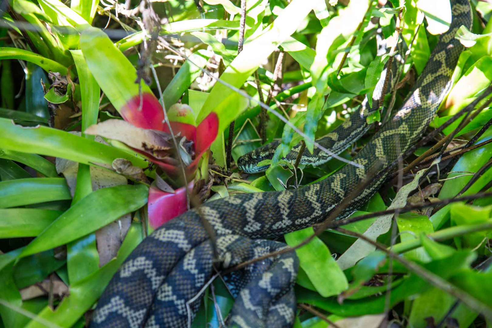 Zoom in 13 juillet 2018 | 9h36