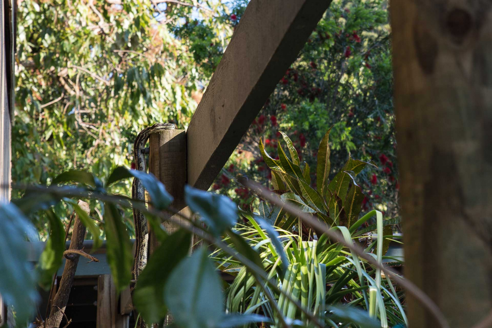 Zoom in 14 septembre 2018 | 15h33