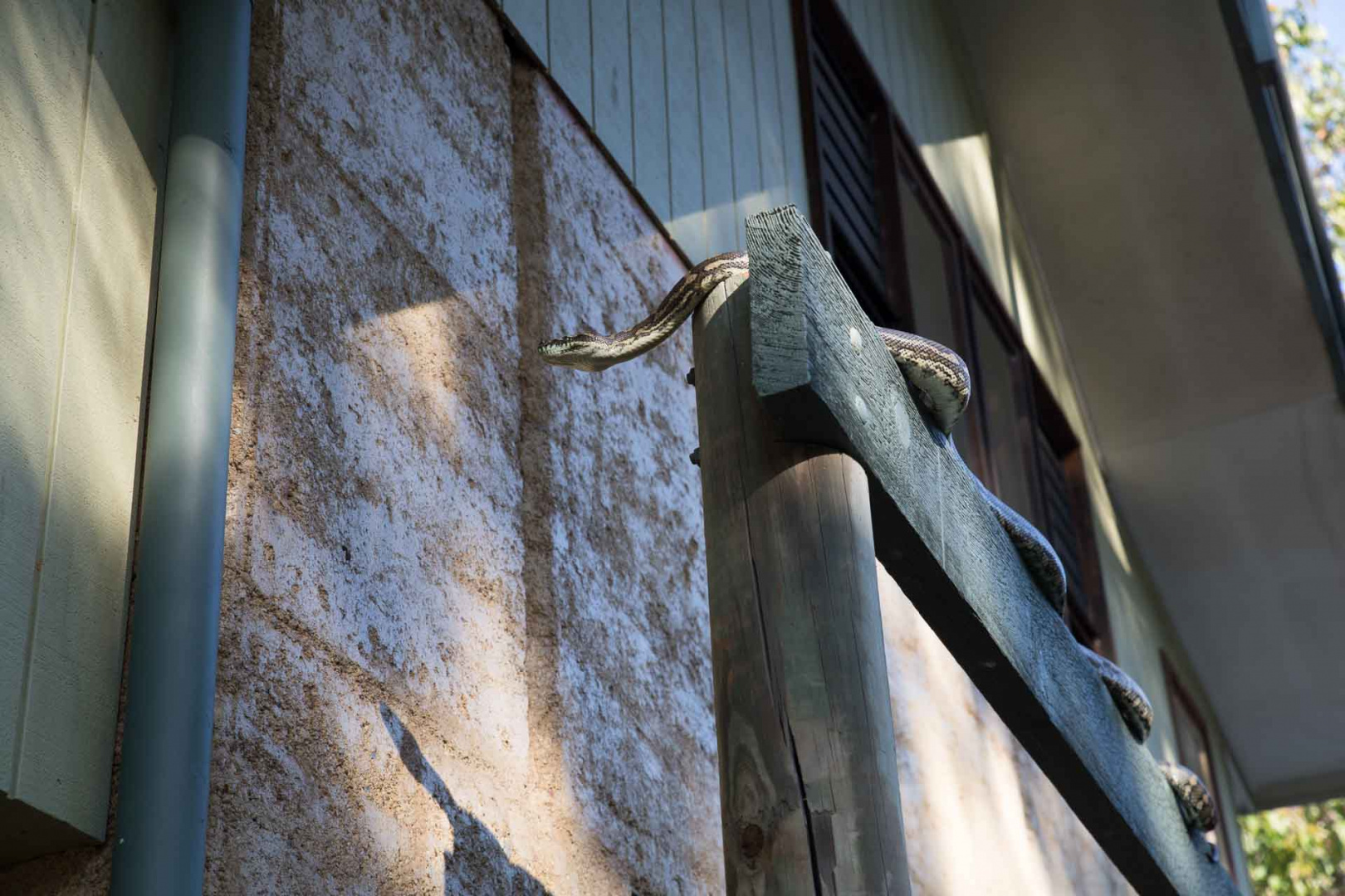 Zoom in 14 septembre 2018 | 15h37