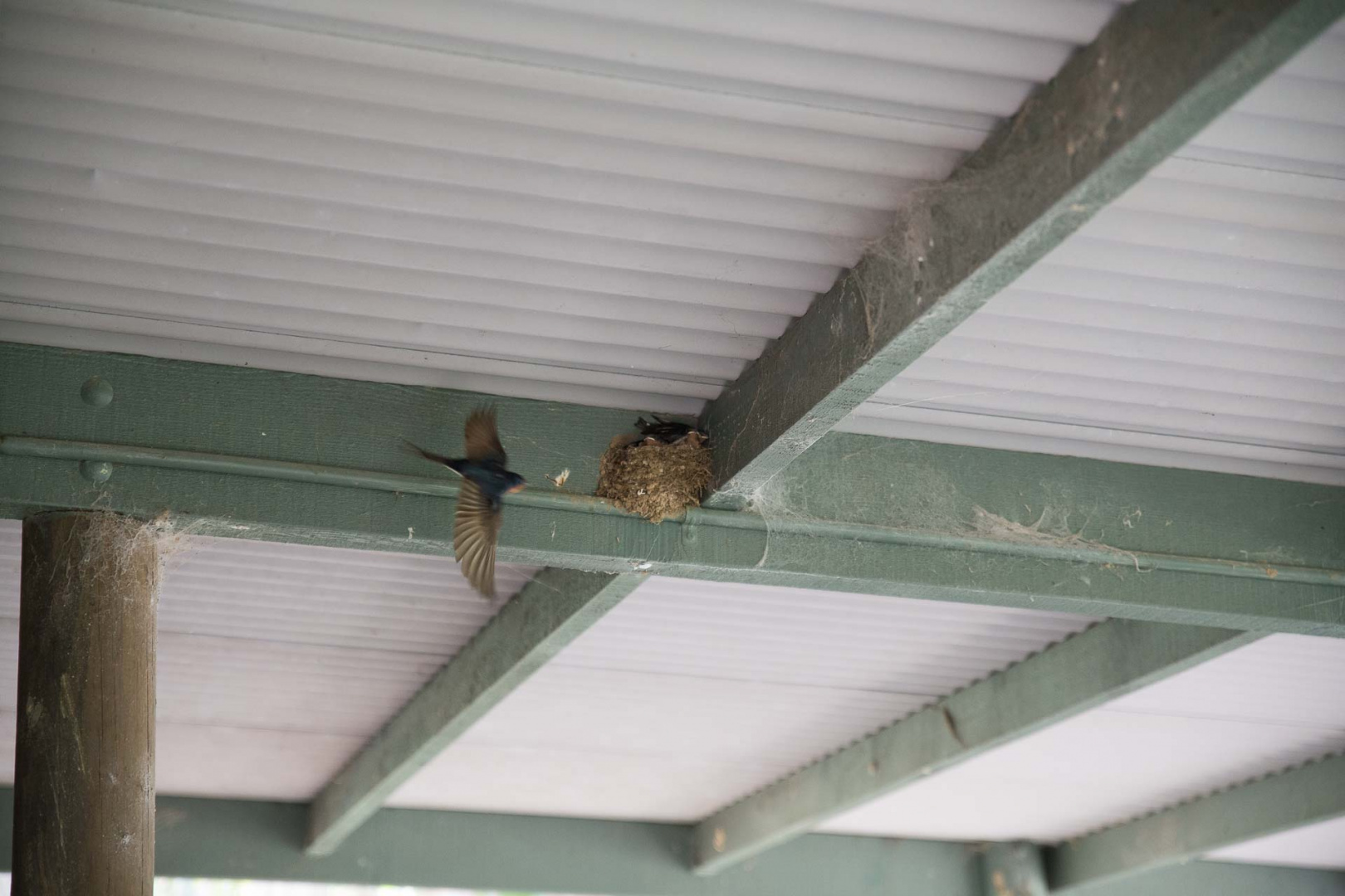 Zoom in 29 septembre 2018 | 13h15