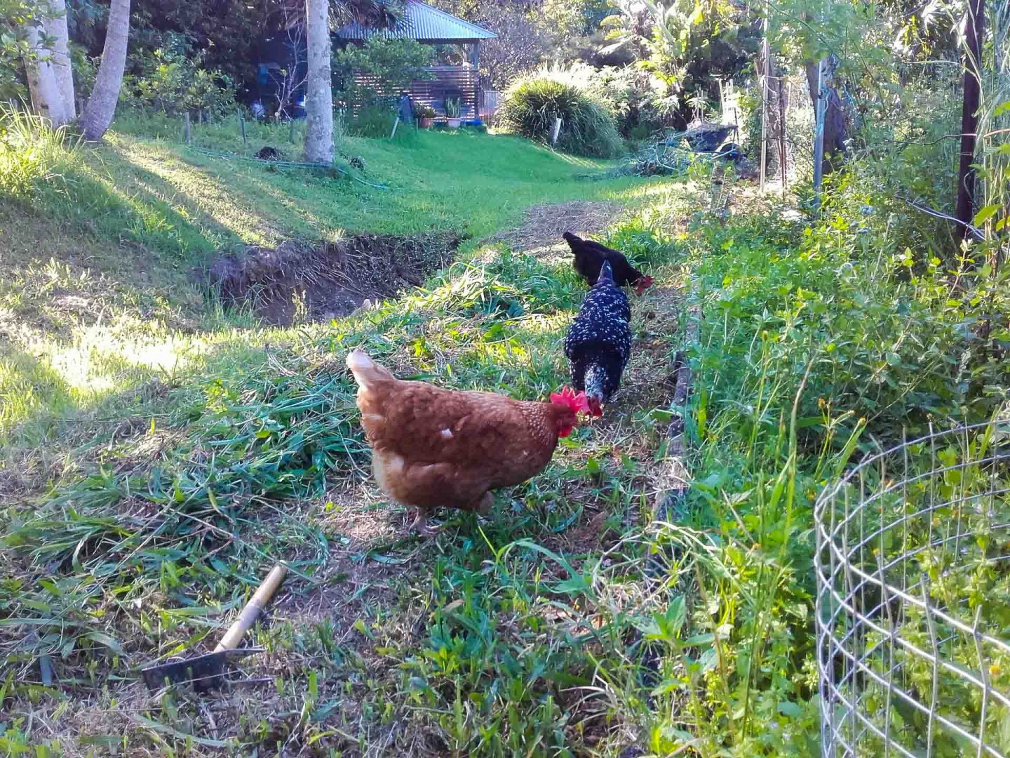 Zoom in 1 novembre 2018 | 17h27