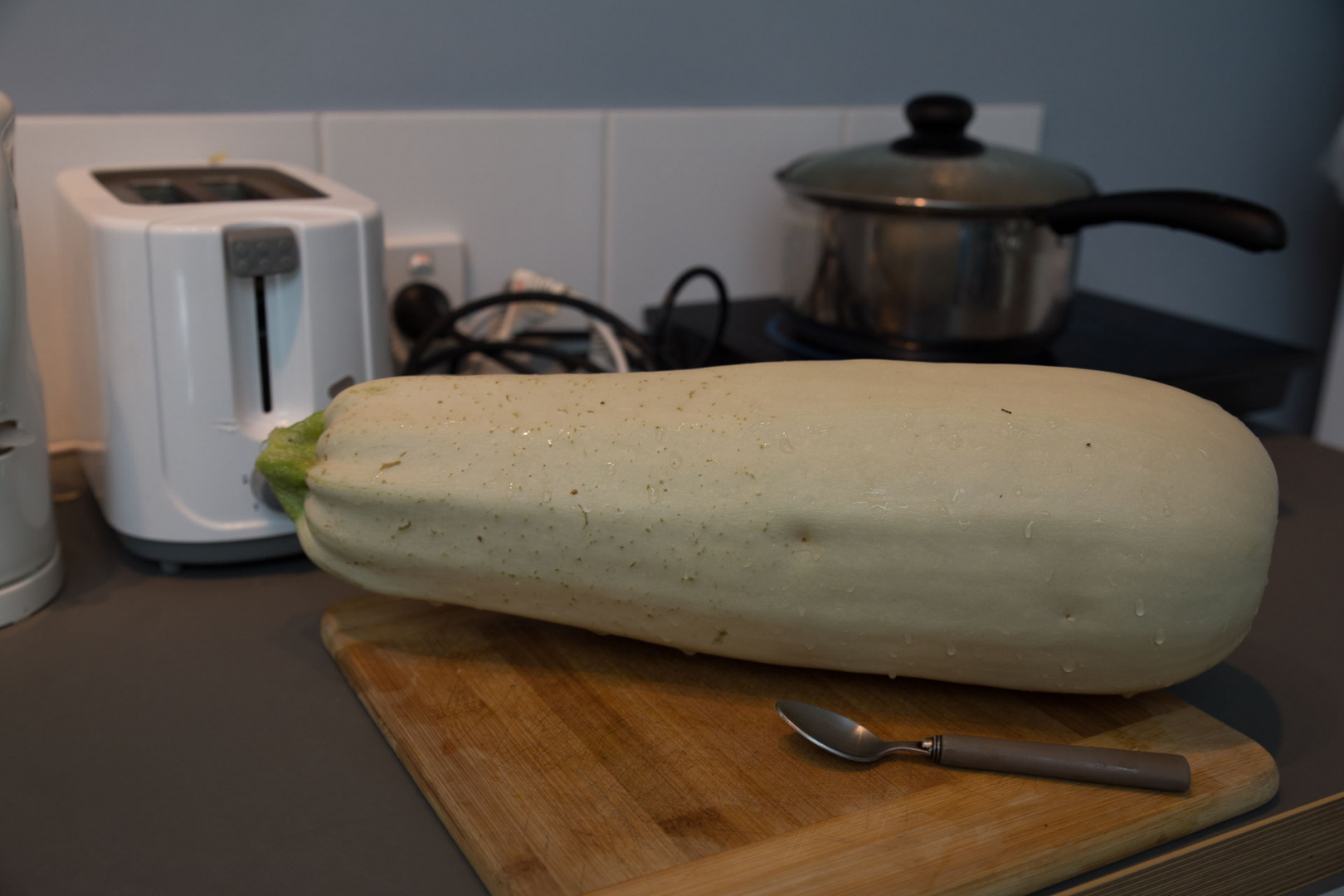 Zoom in 26 novembre 2018 | 12h22