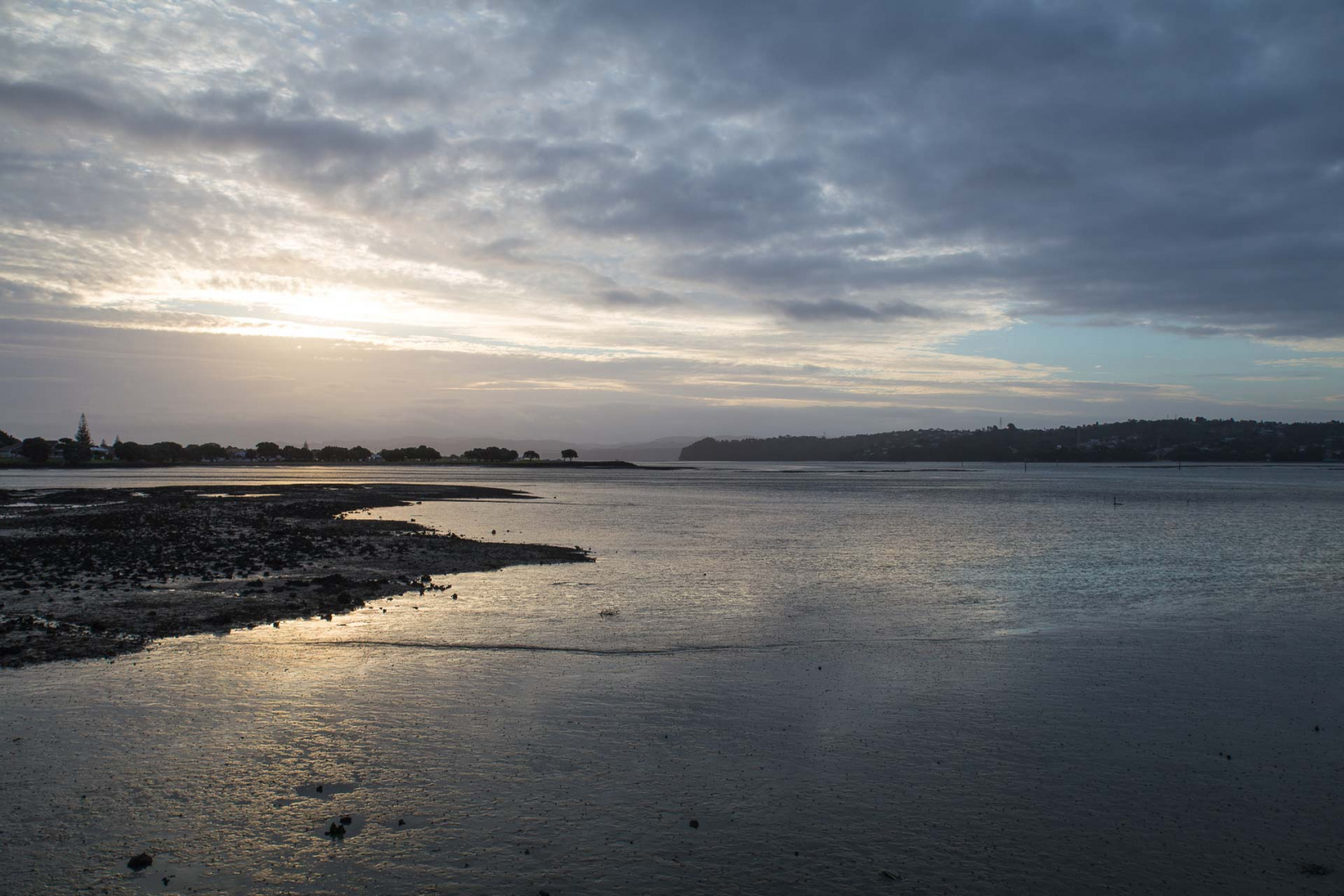 In zoomari 25 janvier 2019 | 20h12