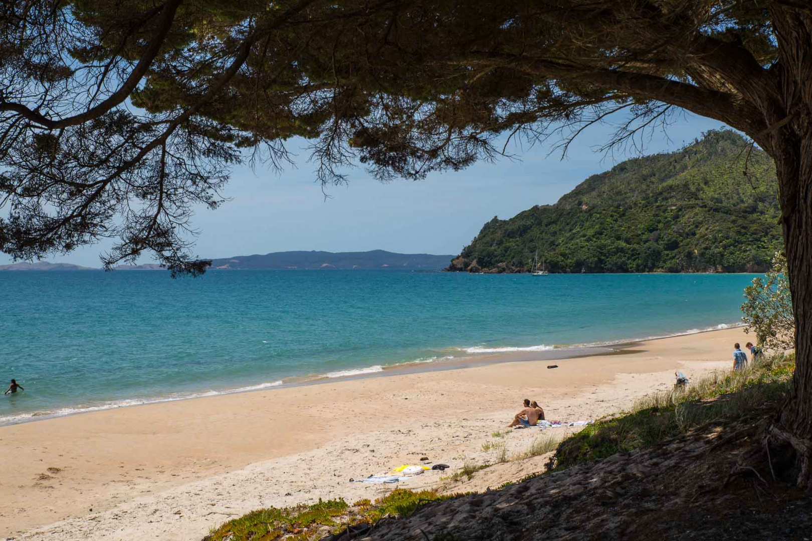 In zoomari 27 janvier 2019 | 13h49