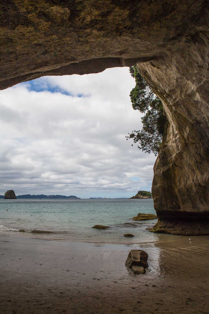 In zoomari 27 janvier 2019 | 17h21