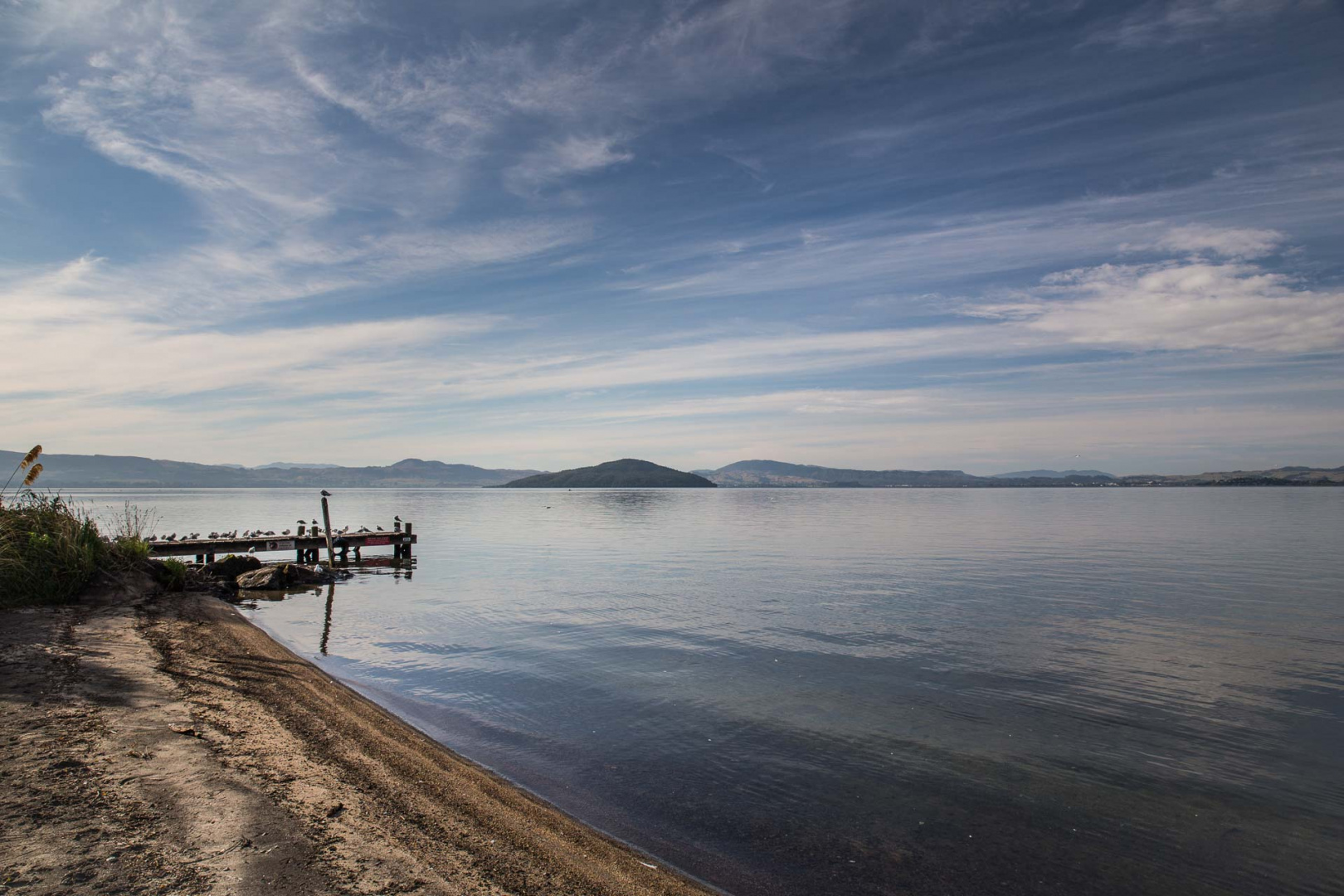 In zoomary 29 janvier 2019 | 8h35