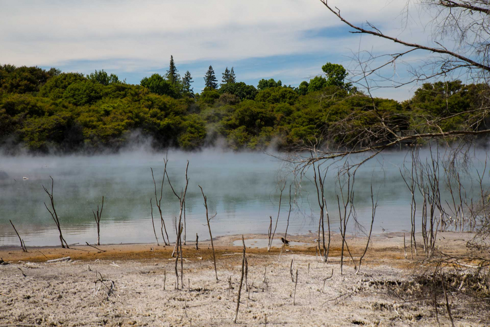 In zoomary 29 janvier 2019 | 11h25