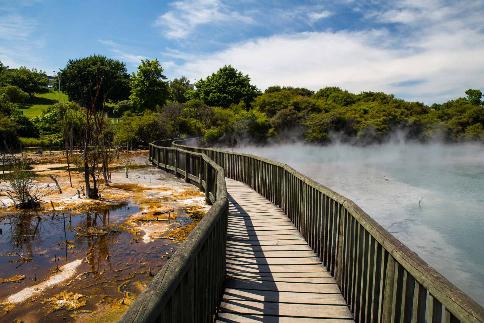 In zoomary 29 janvier 2019 | 11h29