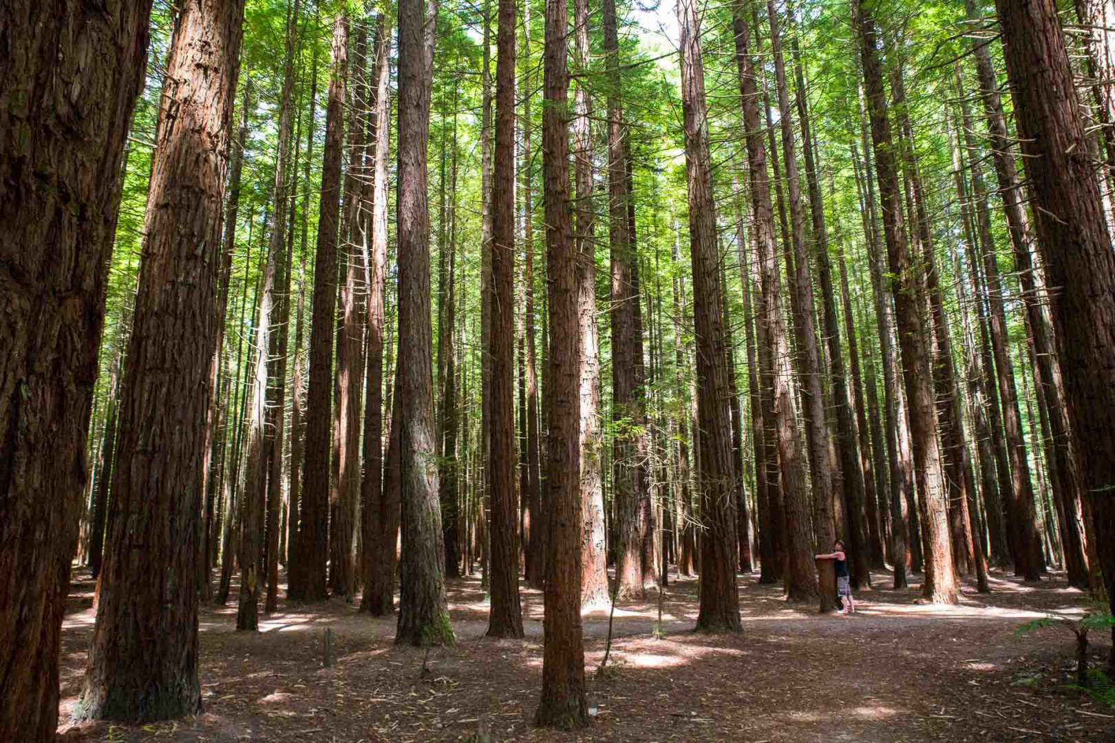 In zoomary 29 janvier 2019 | 12h48