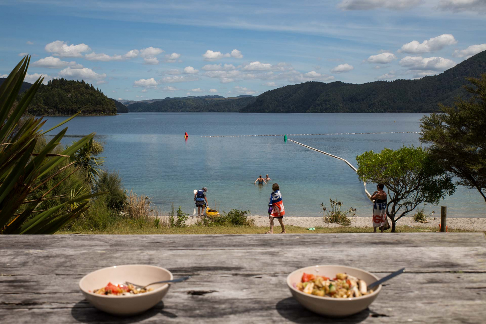 In zoomary 29 janvier 2019 | 14h05