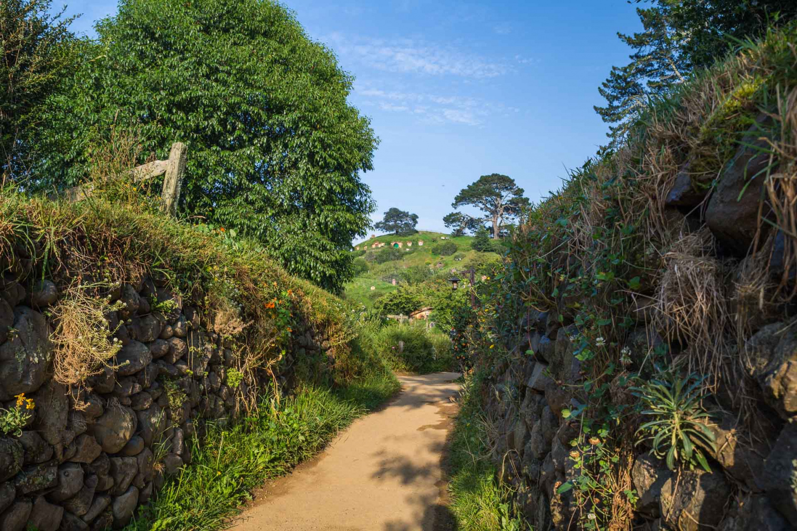 In zoomary 30 janvier 2019 | 8h15