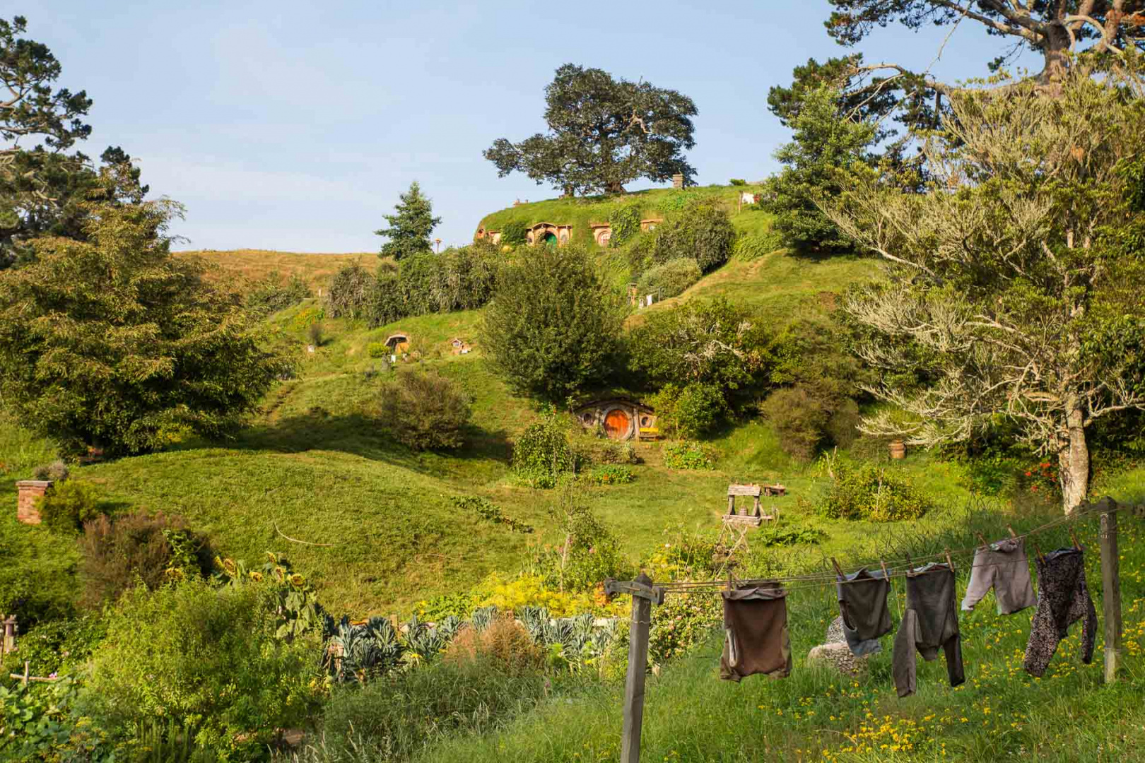 In zoomary 30 janvier 2019 | 8h30