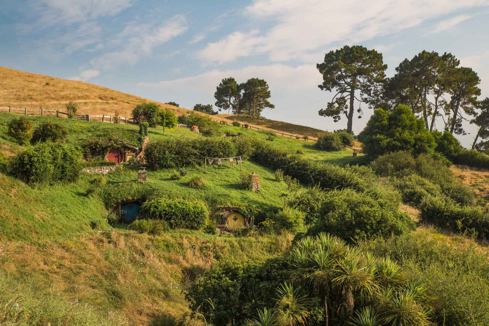In zoomary 30 janvier 2019 | 8h31