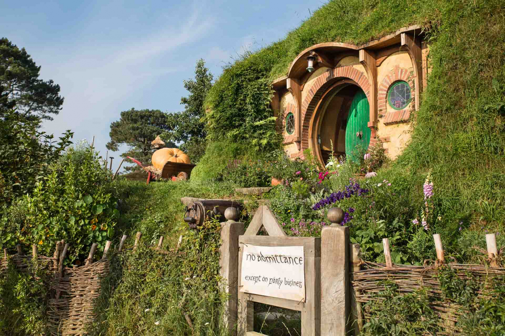 In zoomary 30 janvier 2019 | 8h44