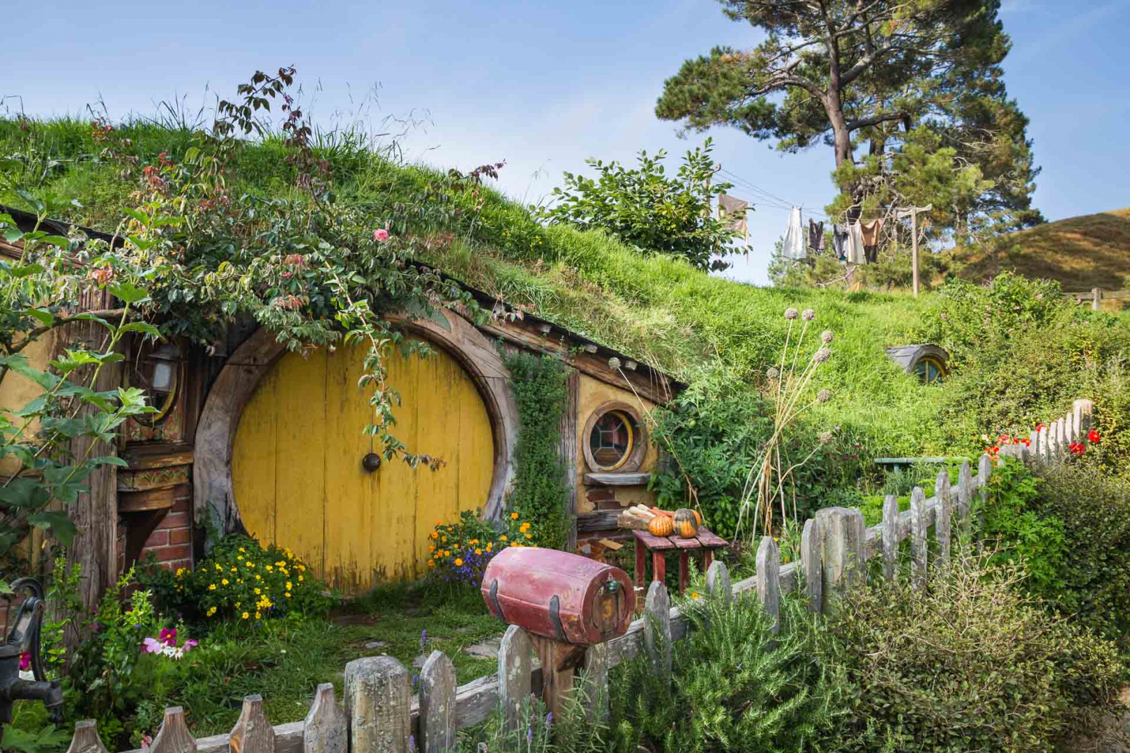 In zoomary 30 janvier 2019 | 8h55