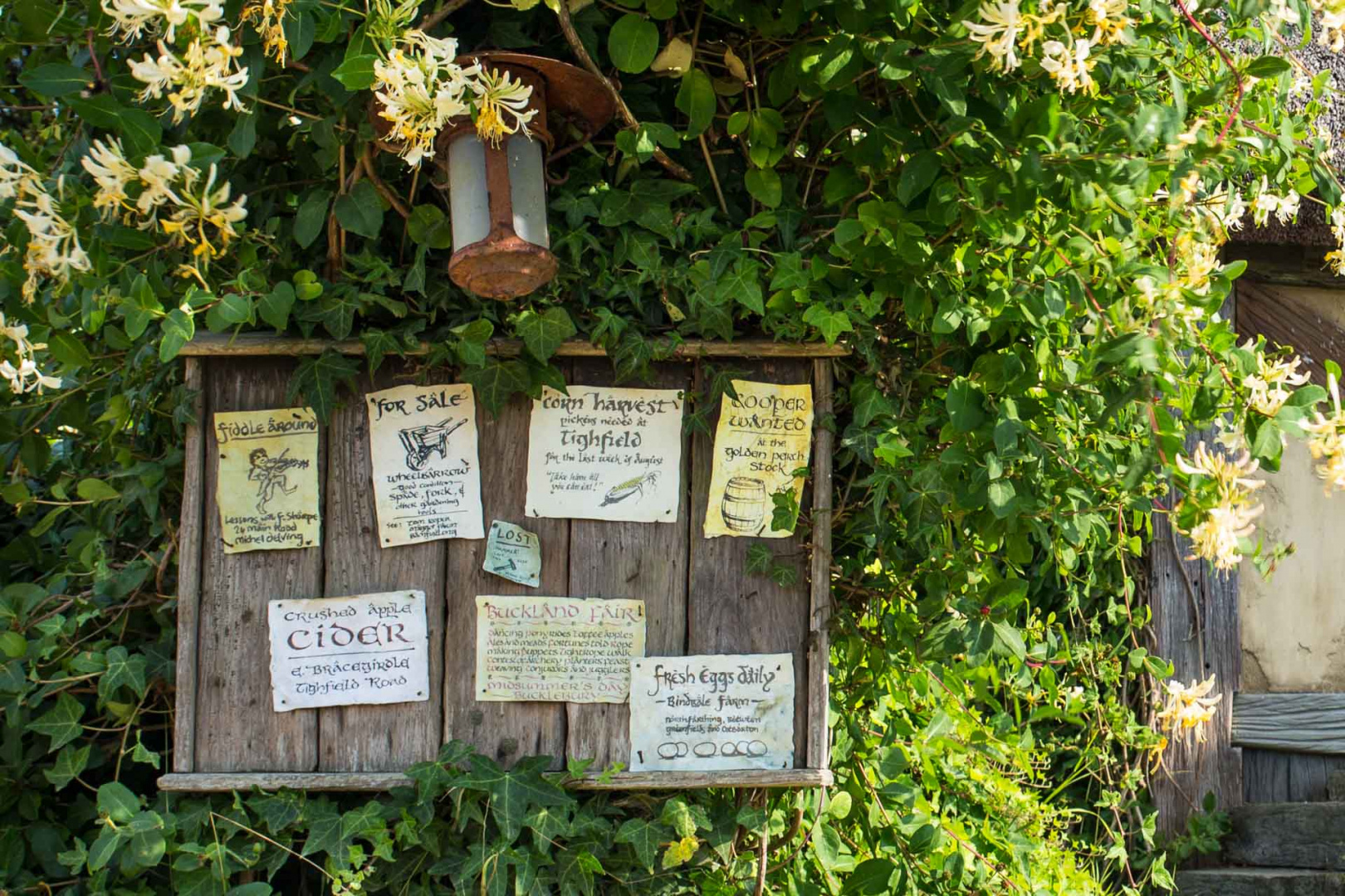 In zoomary 30 janvier 2019 | 9h09