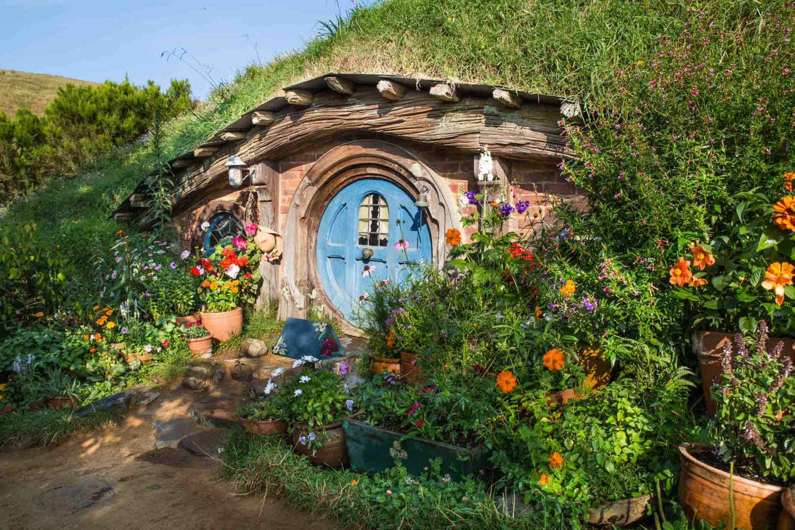 In zoomary 30 janvier 2019 | 8h46