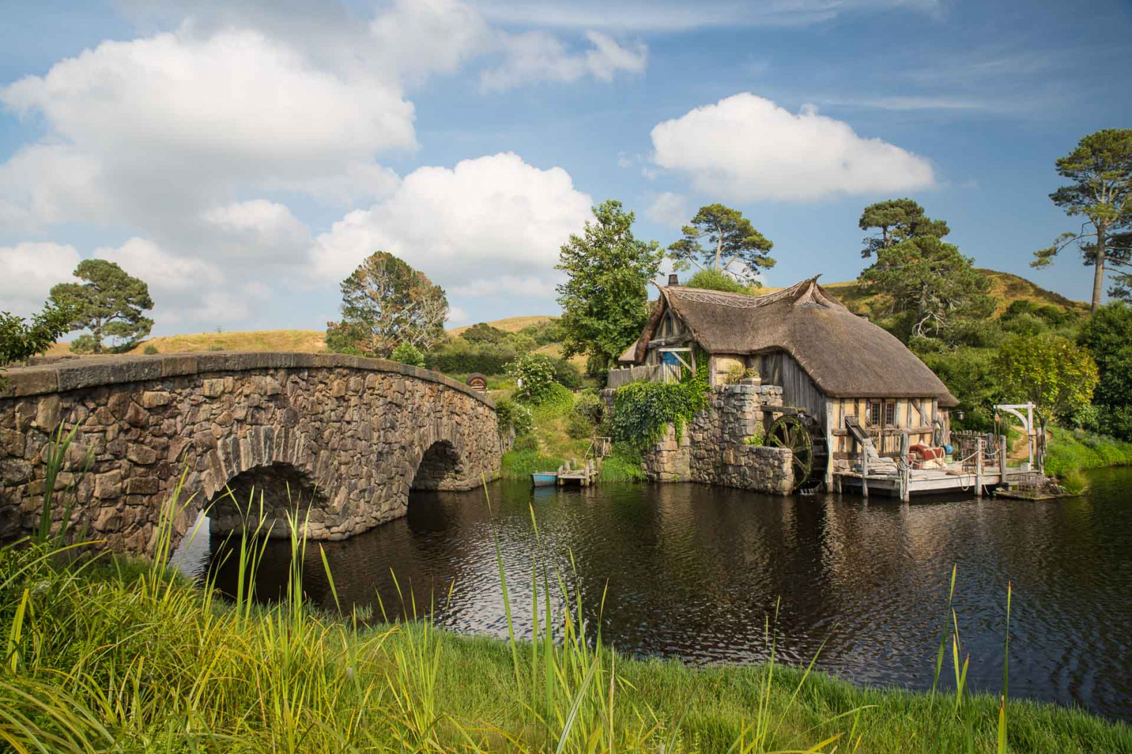 In zoomary 30 janvier 2019 | 9h17