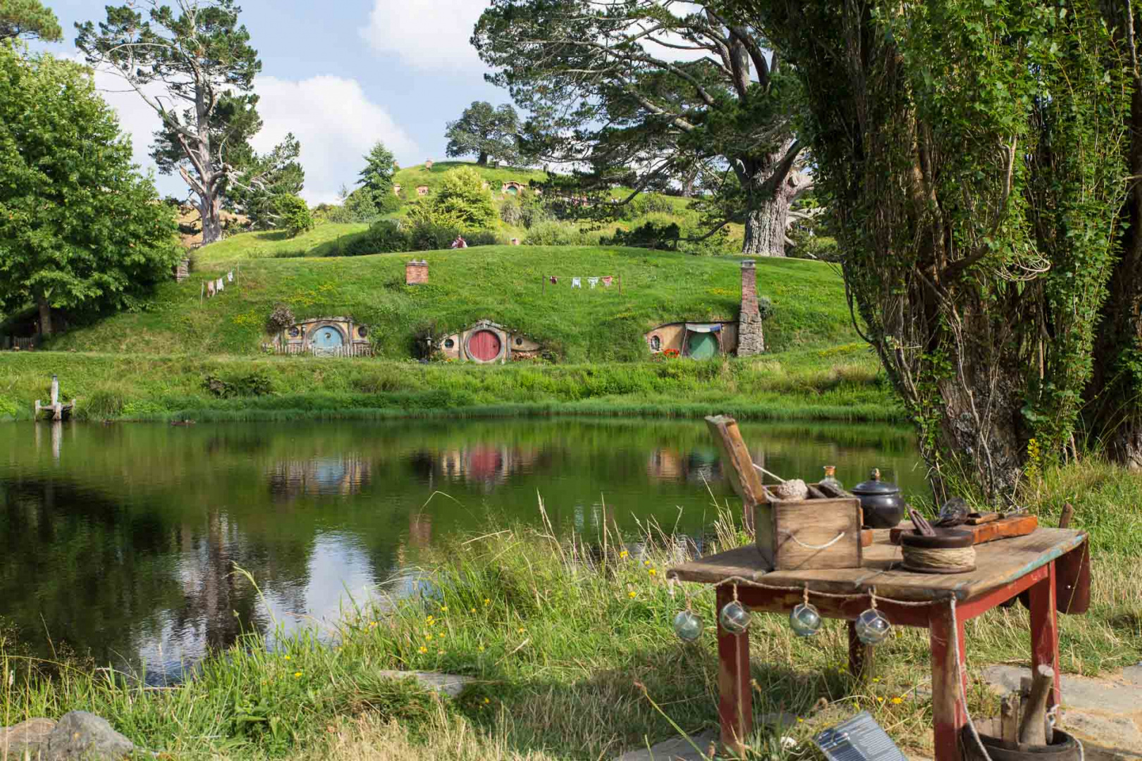 In zoomary 30 janvier 2019 | 9h39