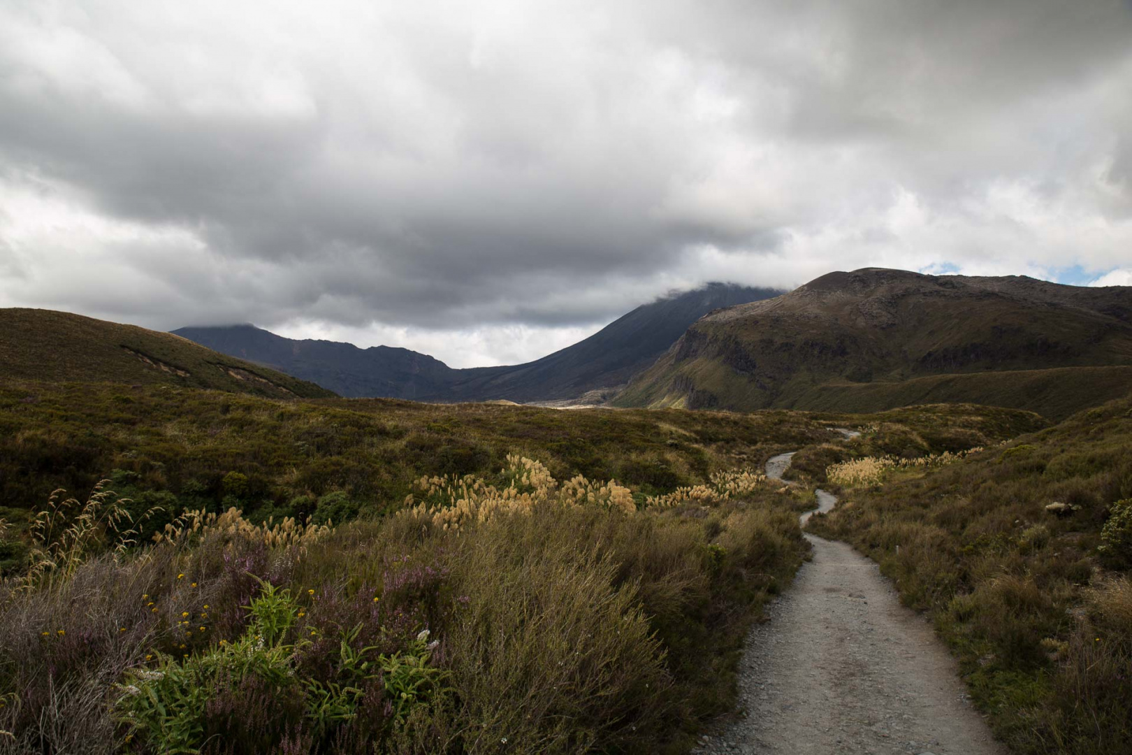 Acercarsero 3 février 2019 | 14h09
