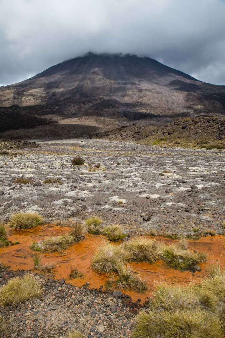 Acercarsero 3 février 2019 | 14h58
