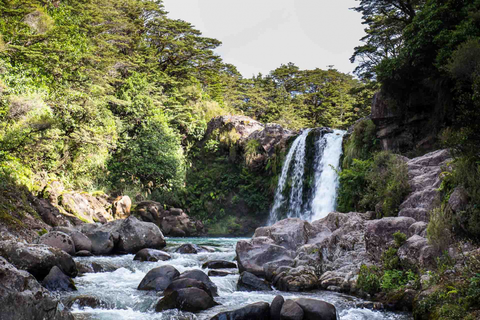 Acercarsero 3 février 2019 | 17h19