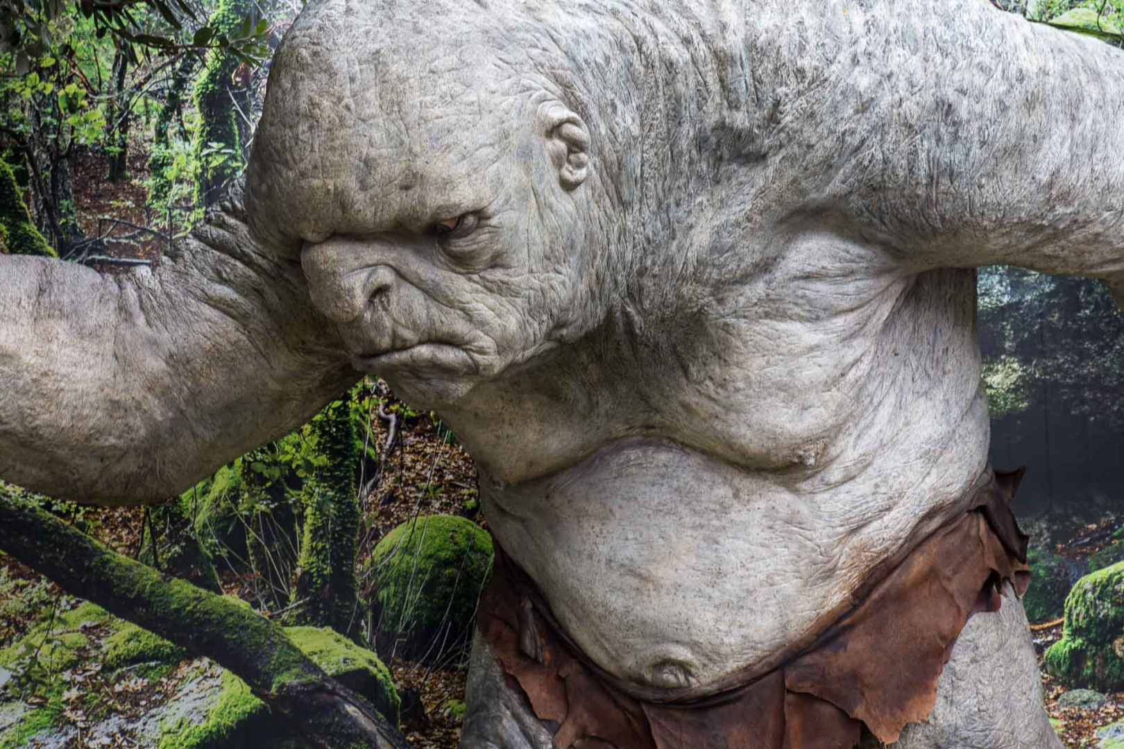 Ingrandireaio 6 février 2019 | 11h16