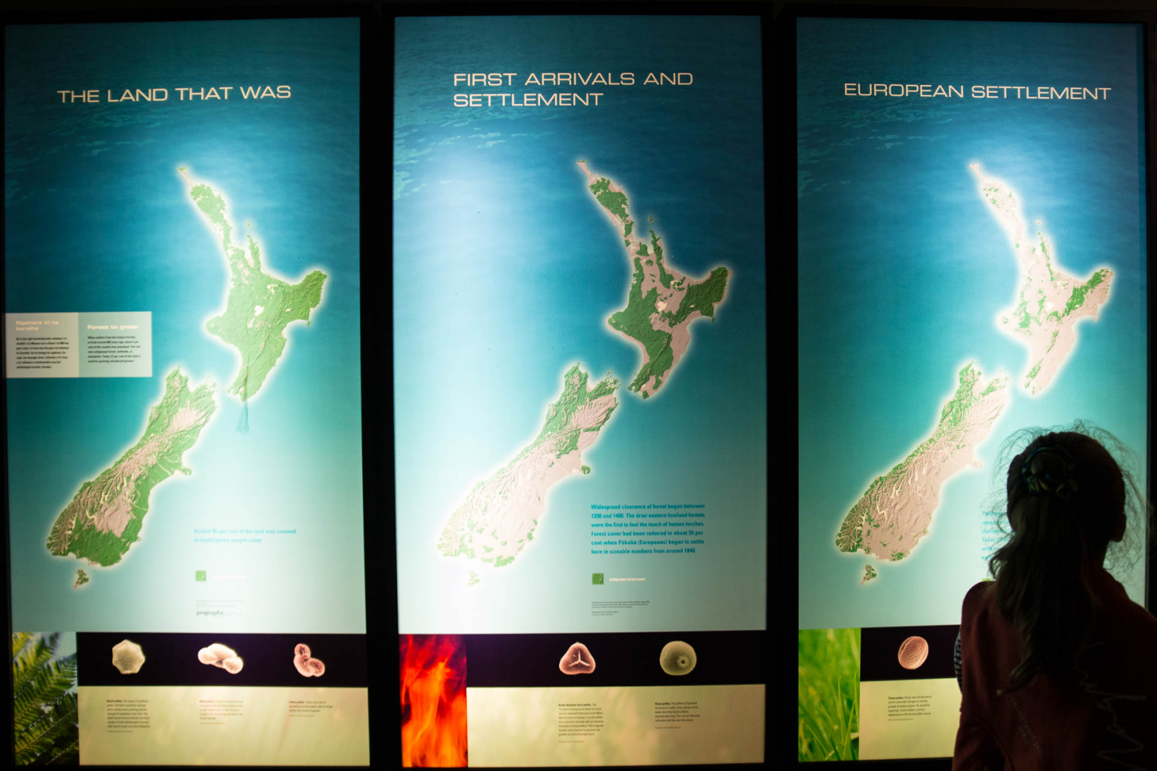 Ingrandireaio 6 février 2019 | 15h34