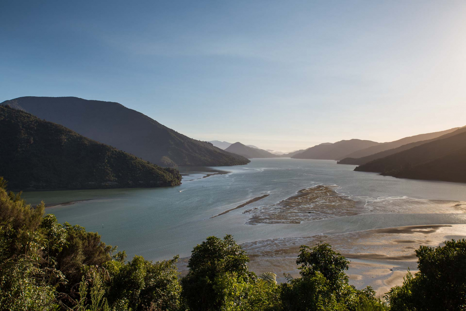 Zoom in 8 février 2019 | 7h59