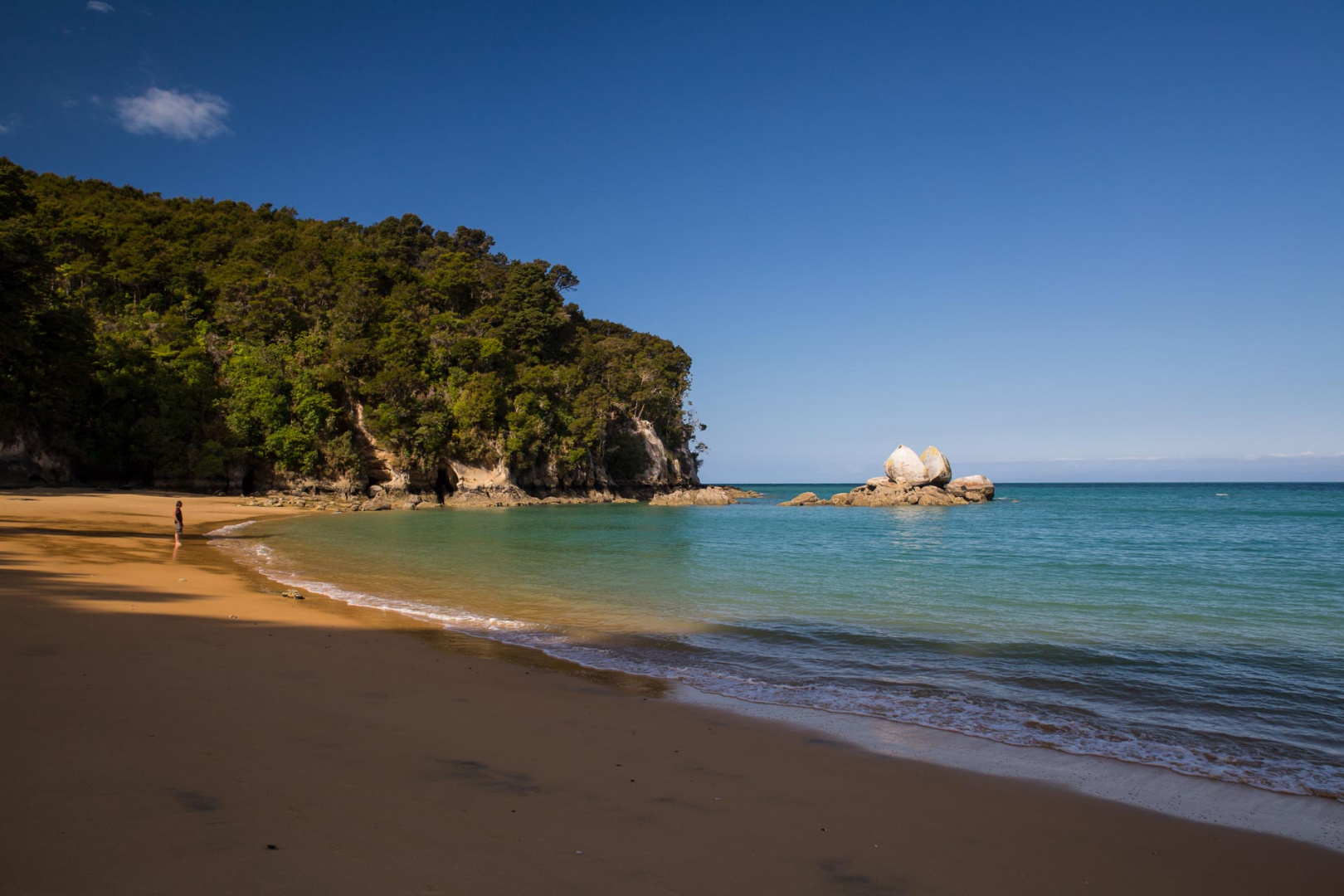 Zoom in 8 février 2019 | 17h16