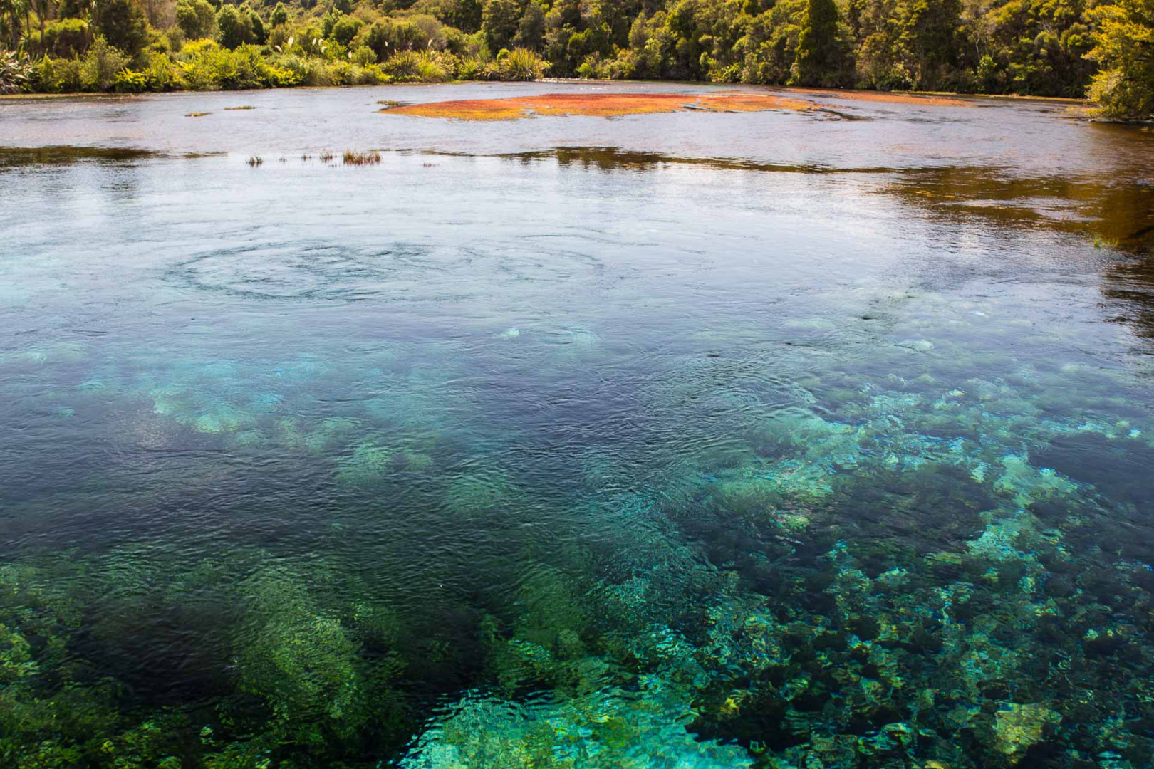 Zoom in 9 février 2019 | 12h03
