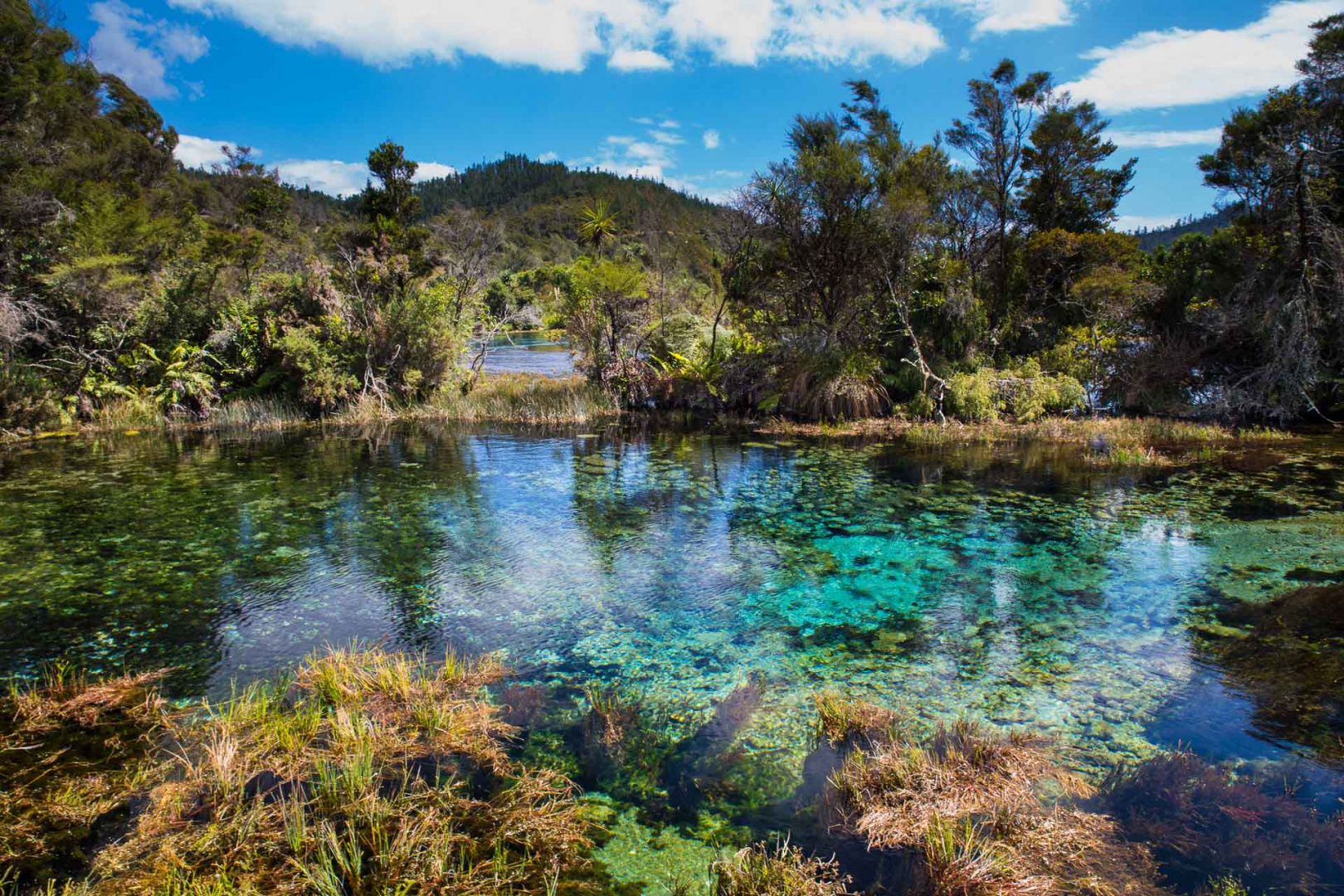 Zoom in 9 février 2019 | 12h09