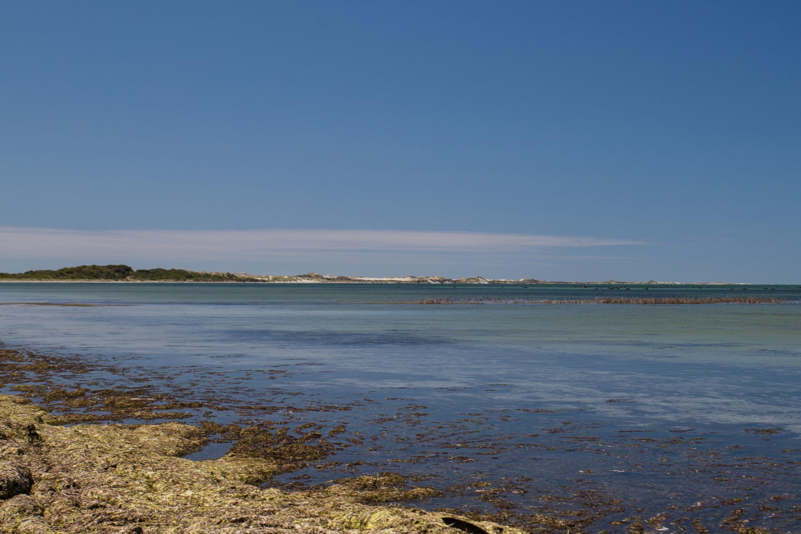 Zoom in 9 février 2019 | 13h43