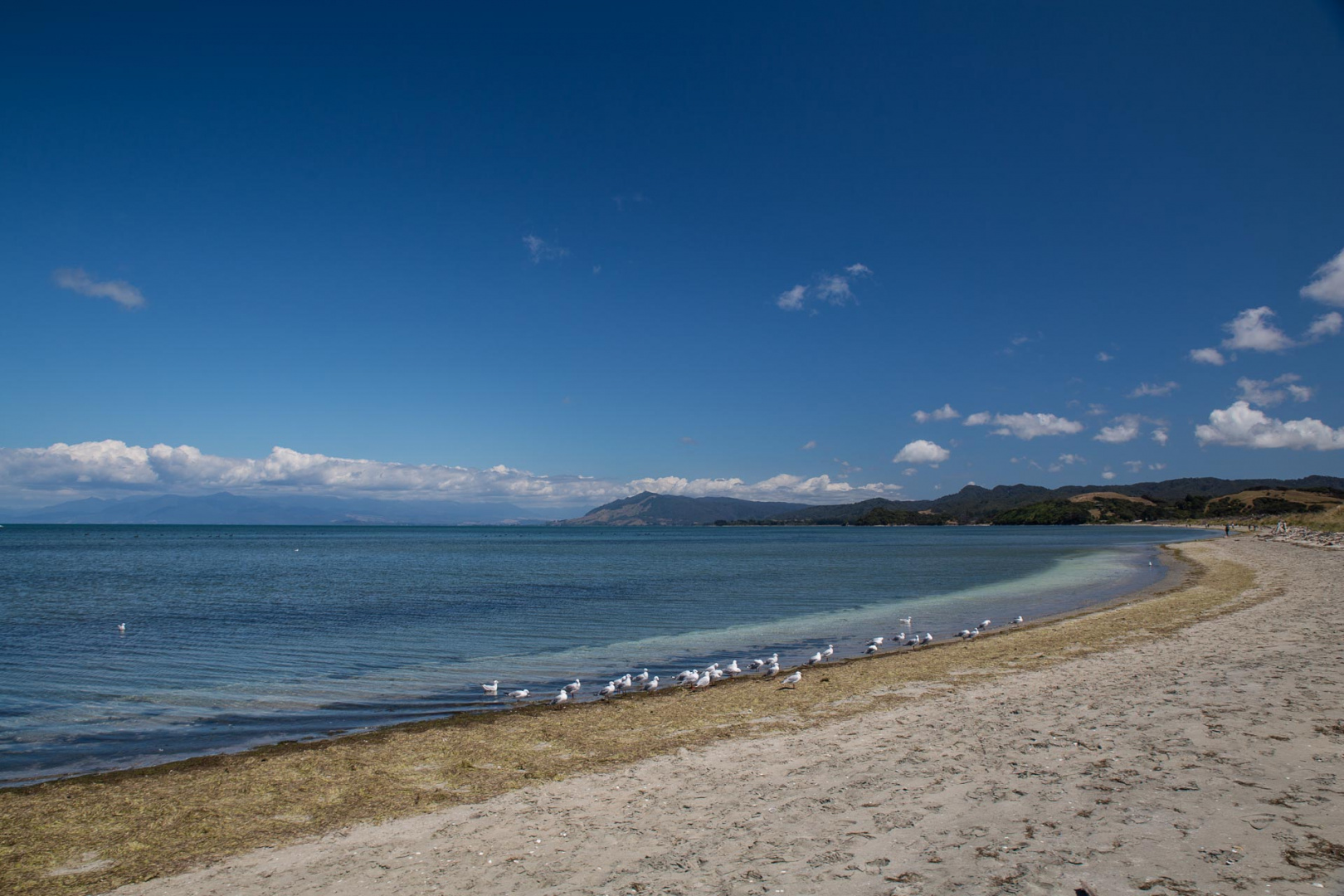 Zoom in 9 février 2019 | 14h16