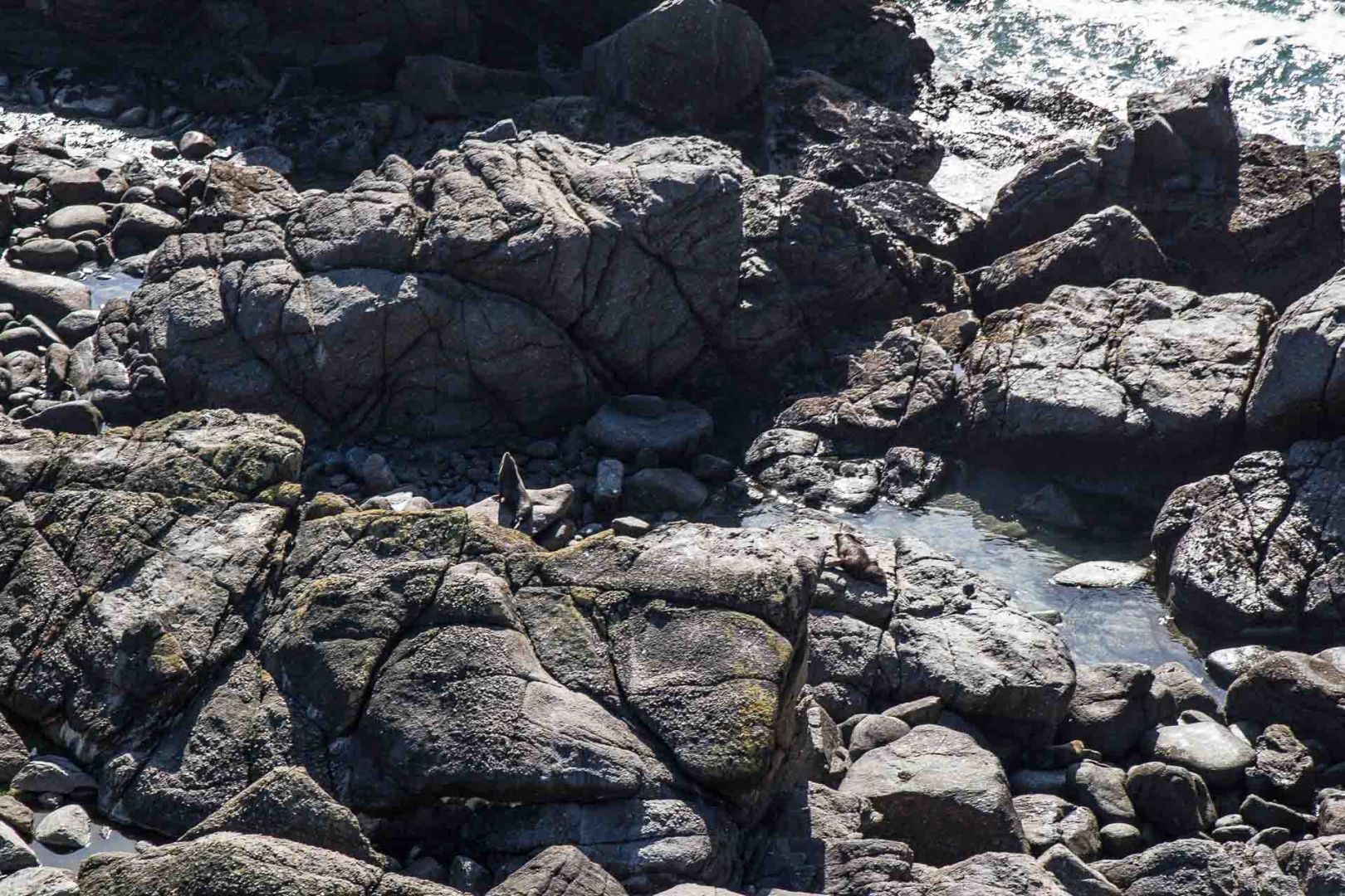 Ingrandireraio 10 février 2019 | 17h27